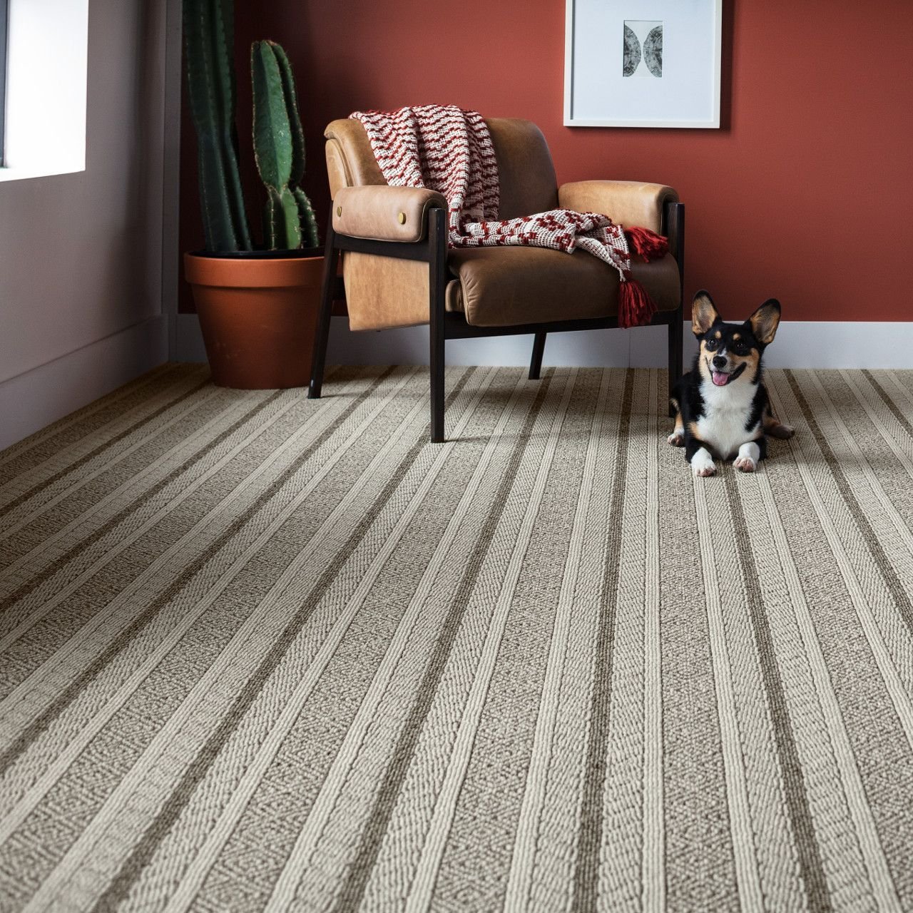 Armchair and dog on Anderson Tuftex carpet from New Horizon Carpets in the Hemet, CA area